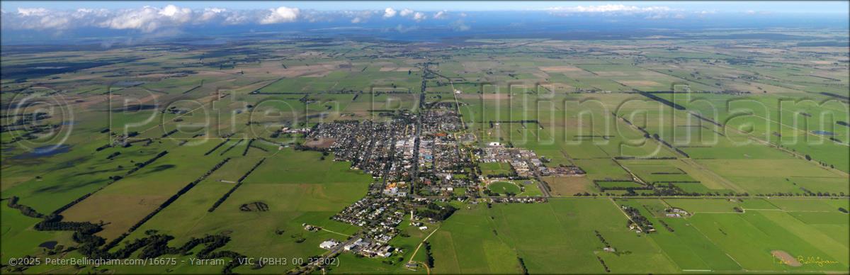 Peter Bellingham Photography Yarram - VIC (PBH3 00 33302)